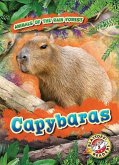 Capybaras