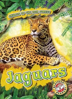 Jaguars - Grack, Rachel
