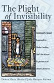 The Plight of Invisibility (eBook, ePUB)