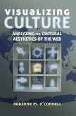 Visualizing Culture (eBook, ePUB)