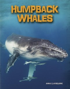 Humpback Whales (eBook, PDF) - Claybourne, Anna