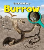 Burrow (eBook, PDF)