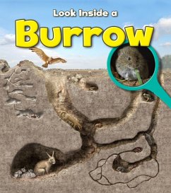 Burrow (eBook, PDF) - Spilsbury, Richard