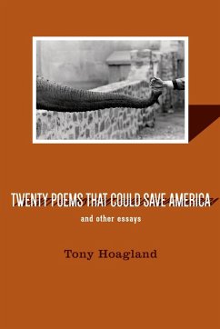Cover Twenty Poems That Could Save America and Other Essays (eBook, ePUB)