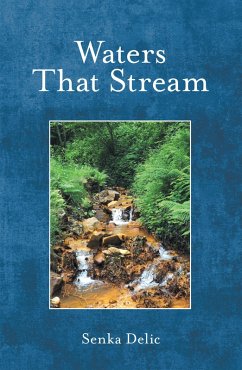 Waters That Stream (eBook, ePUB) - Delic, Senka Waters That Stream (eBook, ePUB) - Delic, Senka