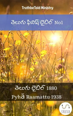 Cover తెలుగు ఫినిష్ బైబిల్ (eBook, ePUB)
