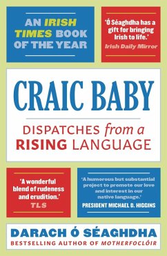 Craic Baby (eBook, ePUB) - O'Séaghdha, Darach