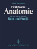 Bein und Statik (eBook, PDF)