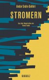 Stromern (eBook, ePUB)