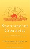 Spontaneous Creativity (eBook, ePUB)