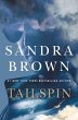 Tailspin (eBook, ePUB) - Bild 1