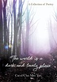 The World Is A Dark And Lovely Place (eBook, ePUB)