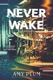 Neverwake (eBook, ePUB)