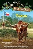 Texas (eBook, ePUB)