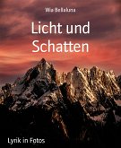 Licht und Schatten (eBook, ePUB)