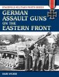 German Assault Guns on the Eastern... - Bild 1