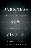 Darkness Now Visible (eBook, PDF)