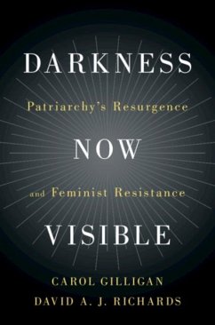 Darkness Now Visible (eBook, PDF) - Gilligan, Carol