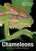 Chameleons of Southern Africa (eBook, ePUB) Chameleons of Southern Africa (eBook, ePUB)