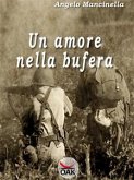 Un amore nella Bufera (eBook, ePUB)