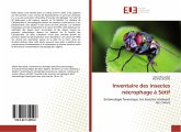 Inventaire des insectes nécrophage à Sétif