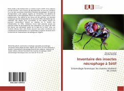Inventaire des insectes nécrophage à Sétif - Bousafsaf, Manel;Boufafa, Moufida