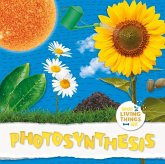 Photosynthesis