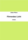 Flirrendes Licht (eBook, ePUB)