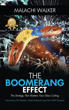 THE BOOMERANG EFFECT - Walker, Malachi