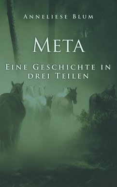 Meta (eBook, ePUB)