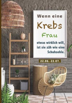 Wenn eine Krebs Frau etwas wirklich will, ist sie zäh wie eine Schuhsohle (eBook, ePUB) - Kaufer, Silvia