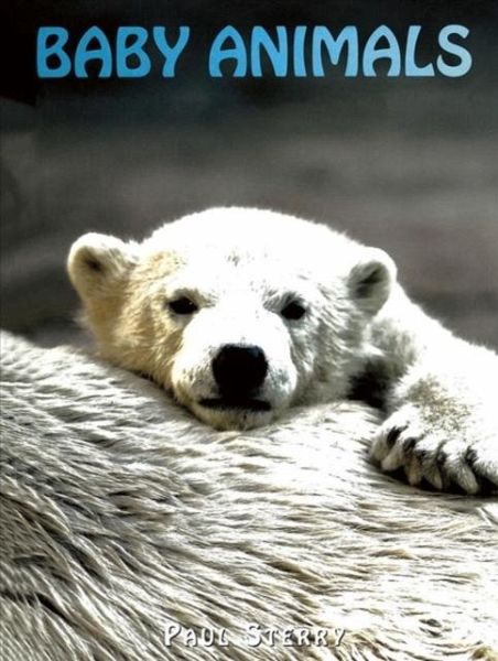 Baby Animals Baby Animals