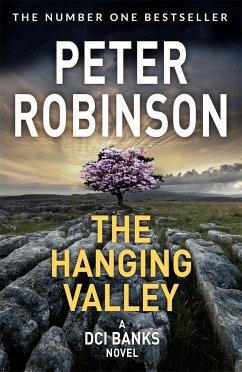 The Hanging Valley - Robinson, Peter