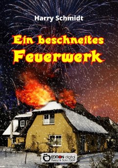 Ein beschneites Feuerwerk (eBook, ePUB) - Schmidtt, Harry