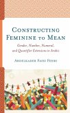 Constructing Feminine to Mean (eBook, ePUB)