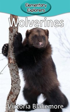 Wolverines - Blakemore, Victoria