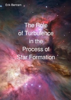 The Role of Turbulence in the Process of Star Formation - Bertram, Erik