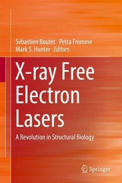 X-ray Free Electron Lasers