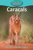 Caracals