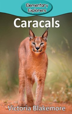 Caracals - Blakemore, Victoria