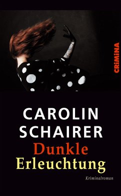 Dunkle Erleuchtung (eBook, ePUB) - Schairer, Carolin