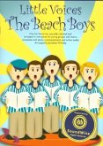 Little Voices - The Beach Boys