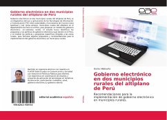 Gobierno electrónico en dos municipios rurales del altiplano de Perú