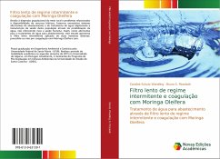 Filtro lento de regime intermitente e coagulação com Moringa Oleífera - Schutz Wendling, Caroline;Pizzolatti, Bruno S.