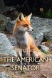 American Senator (eBook, ePUB) - Bild 1