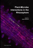 Plant-Microbe Interactions in the Rhizosphere