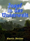 Josef in der Unterwelt (eBook, ePUB)
