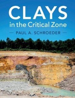 Clays in the Critical Zone (eBook, PDF) - Schroeder, Paul A.