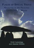 Places of Special Virtue (eBook, PDF) Places of Special Virtue (eBook, PDF)