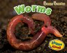 Worms (eBook, PDF) - Bild 1